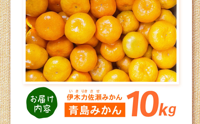 青島みかん　10kg / 諫早市 /伊佐農園 [AHFI014]