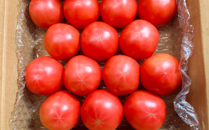完熟大玉トマト 3.6kg(1.8kg×2) / トマト とまと tomato トマトジュース 野菜 やさい サラダ 完熟 甘い / 諫早市 / 菜食美農園 [AHFK001]