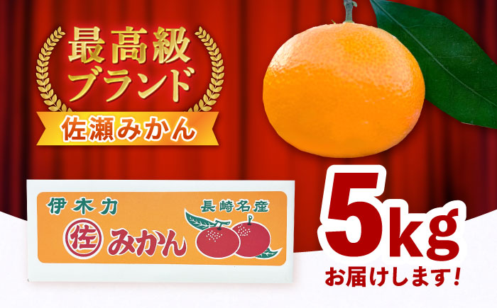 ※【2026年11月より順次発送／先行予約】【食べる濃厚ジュース】佐瀬みかん 5kg / みかん ミカン 蜜柑 オレンジ 柑橘 フルーツ ふるーつ 果物 くだもの みかんジュース 甘い / 諫早市 / 一正 [AHFL001]