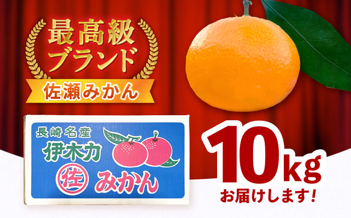 食べる濃厚ジュース】佐瀬みかん 10kg / みかん ミカン 蜜柑 オレンジ