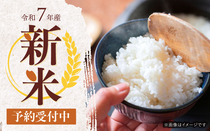 【年内配送】(12/23入金分まで)【R7年新米】九州のこだわり玄米食べ比べ (10kg×2) / 米 お米 コメ にこまる ひのひかり 食べ比べ 玄米 / 諫早市 / 上島農産 [AHAS006] 新米 しんまい