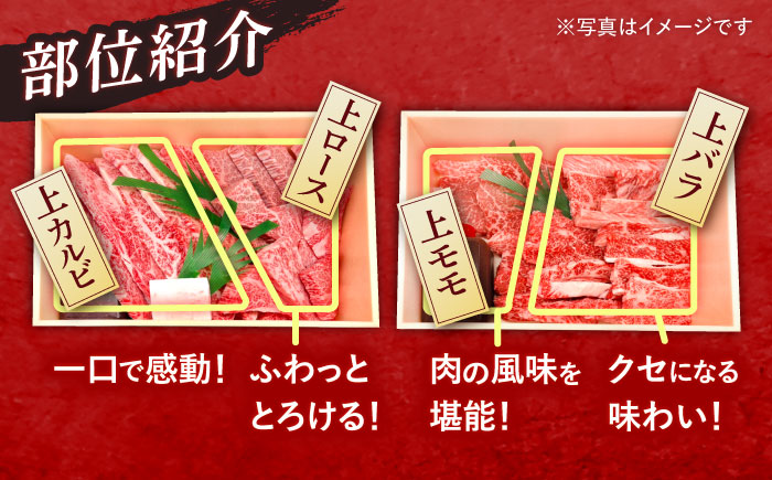【2回定期便】長崎和牛 焼肉 4種 上バラ 上モモ 上ロース 上カルビ 計920g / 長崎和牛 焼肉 焼き肉 牛肉 和牛 牛 バラ モモ ロース カルビ / 諫早市 / 焼肉おがわ [AHCD050]