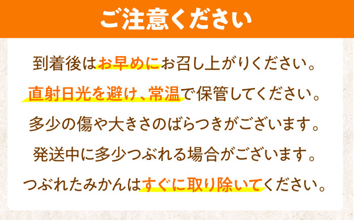 ※【2025年(令和7年)12月発送分／先行予約】伊木力温州早生みかん10kg(ご家庭用、箱入り) / みかん 温州みかん 柑橘 蜜柑 ミカン 果物 / 諫早市 / 末永果樹園 [AHBD002]