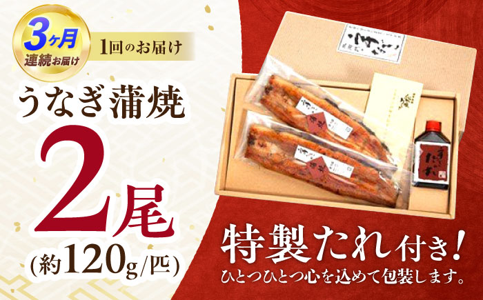 【3回定期便】北御門うなぎ蒲焼2尾入 / 特上 うなぎ 鰻 蒲焼 ウナギ / 諫早市 / 諫早観光物産　コンベンション協会 [AHAB005]