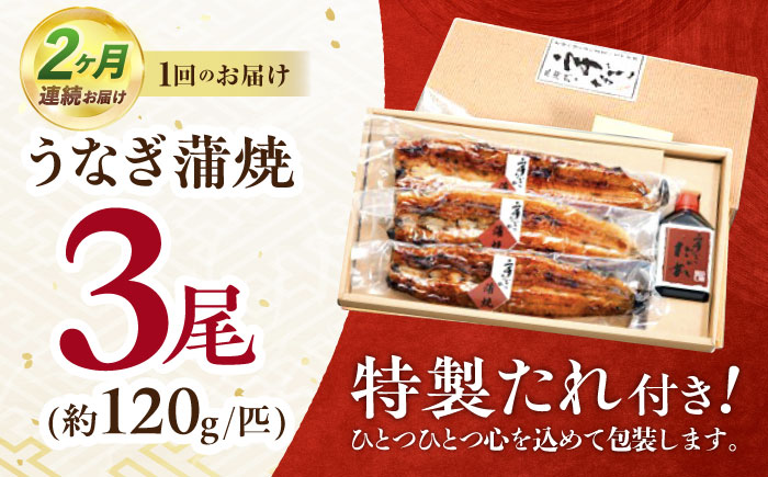 【2回定期便】北御門うなぎ蒲焼3尾入 / 特上 うなぎ 鰻 蒲焼 ウナギ / 諫早市 / 諫早観光物産　コンベンション協会 [AHAB015]