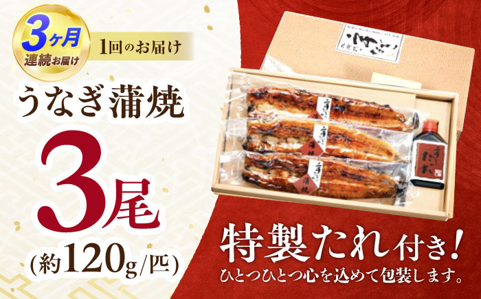 【3回定期便】北御門うなぎ蒲焼3尾入 / 特上 うなぎ 鰻 蒲焼 ウナギ / 諫早市 / 諫早観光物産　コンベンション協会 [AHAB016]