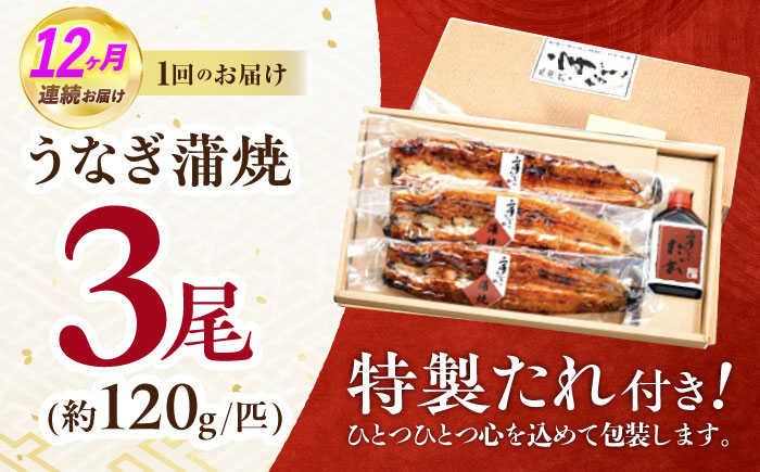 【12回定期便】北御門うなぎ蒲焼3尾入 / 特上 うなぎ 鰻 蒲焼 ウナギ / 諫早市 / 諫早観光物産　コンベンション協会 [AHAB025]