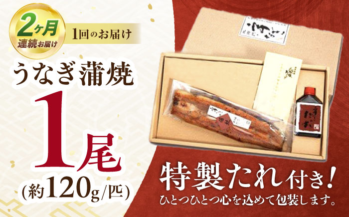 【2回定期便】『北御門』うなぎ蒲焼1尾入り/ 諫早市 /諫早観光物産コンベンション協会 [AHAB045]