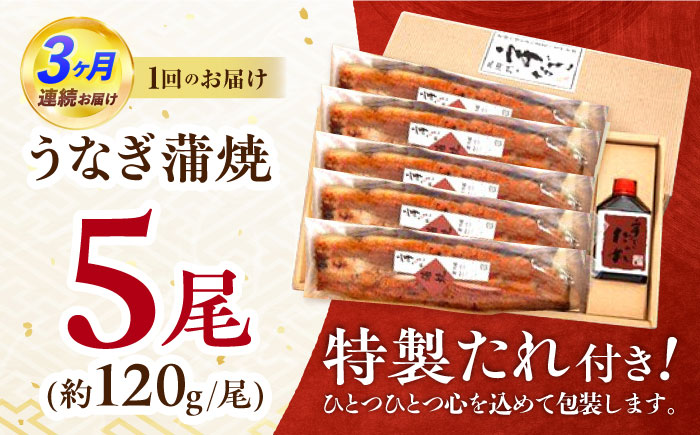 【3回定期便】『北御門』うなぎ蒲焼5尾入り / 特上 うなぎ 鰻 ウナギ 蒲焼 蒲焼き かばやき うな重 ひつまぶし 冷凍 / 諫早市 / 諫早観光物産コンベンション協会 [AHAB056]