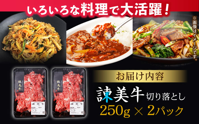 【特Aのブランド米で育てた】諫美牛 切り落とし 500g(250g×2) / 牛肉 ぎゅうにく 和牛 牛 肉 国産 切り落とし 切り落し 切りおとし / 諫早市 / 株式会社土井農場 [AHAD090]