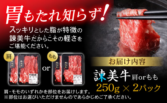 【特Aのブランド米で育てた】諫美牛 しゃぶしゃぶ・すき焼き用 500g(250g×2) / 牛肉 ぎゅうにく 和牛 牛 肉 国産 しゃぶしゃぶ すき焼き / 諫早市 / 株式会社土井農場 [AHAD092]