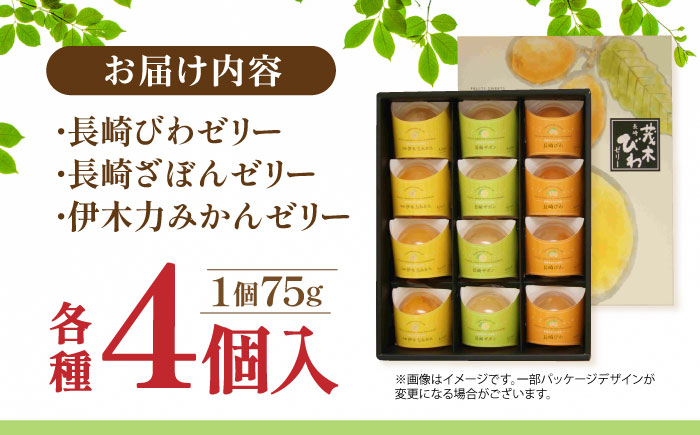 長崎旬彩12個入り / ゼリー みかん ミカン ザボン びわ 果汁 / 諫早市 / 有限会社あじさい  [AHAH001]