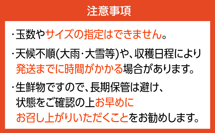 伊木力佐瀬みかん(早生)5kg(混合サイズ：S～L)　/　みかん　佐瀬みかん　伊木力みかん　産地直送　産直　/　諫早市　/　山田果樹園 [AHAJ003]