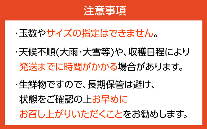 <先行受付> 伊木力佐瀬みかん5kg(混合サイズ：S～L)　/　みかん　佐瀬みかん　伊木力みかん　産地直送　産直　/　諫早市　/　山田果樹園 [AHAJ004]
