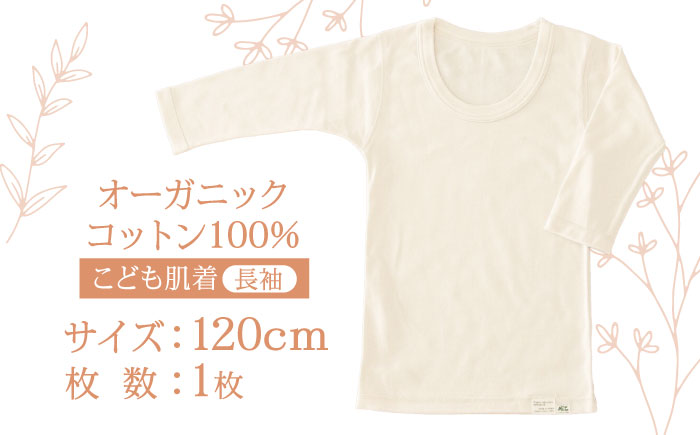 オーガニックコットンこども肌着長袖(120cmサイズ)・日本アトピー協会推薦品 / シャツ 新生児用 赤ちゃん 綿 コットン / 諫早市 / 株式会社美泉 [AHAP020]