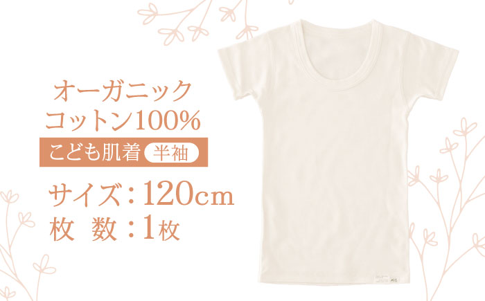 オーガニックコットンこども肌着半袖(120cmサイズ)・日本アトピー協会推薦品 / シャツ 新生児用 赤ちゃん 綿 コットン / 諫早市 / 株式会社美泉 [AHAP023]