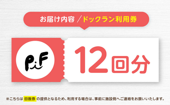 ドッグラン利用券(12回分) / ドッグラン 犬 施設 利用券 利用チケット 回数券 ペット / 諫早市 / 株式会社美泉 [AHAP042]