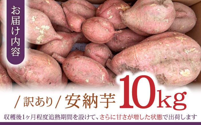 【訳あり】栽培期間中農薬不使用 安納芋 10kg / いも イモ 芋 さつまいも サツマイモ 安納芋 野菜 スイーツ / ふるさと有明ファーム [AHAQ001]