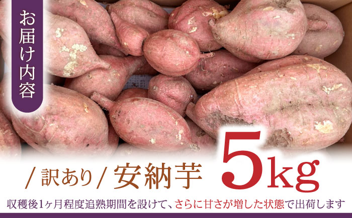 【訳あり】栽培期間中農薬不使用 安納芋 5kg / いも イモ 芋 さつまいも さつま芋 サツマイモ 安納芋 スイーツ 訳あり 訳アリ 野菜 / 諫早市 / ふるさと有明ファーム [AHAQ002]