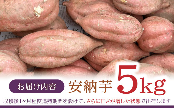 栽培期間中農薬不使用 安納芋 5kg / いも イモ 芋 さつまいも さつま芋 サツマイモ 安納芋 スイーツ / 諫早市 / ふるさと有明ファーム [AHAQ003]