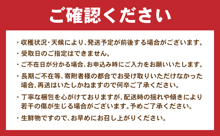 諫早産みかん 10kg / みかん ミカン 蜜柑 フルーツ ふるーつ 果物 くだもの 10kg / 諫早市 / 松尾農園 [AHAY028]