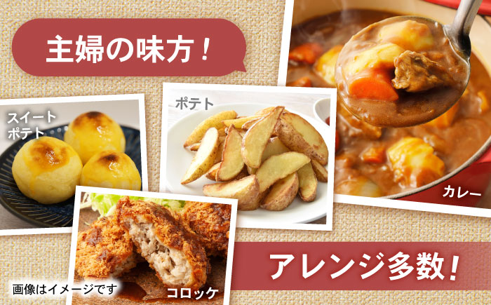 諫早産じゃがいも 10kg / じゃがいも ジャガイモ いも イモ 芋 野菜 やさい 10kg / 諫早市 / 松尾農園 [AHAY031]