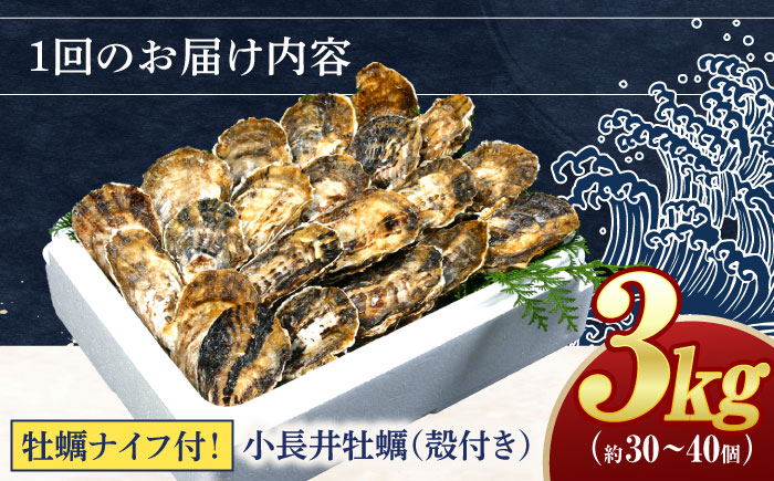 【2回定期便】長崎県諫早市小長井牡蠣(殻付きカキ)3kgカキナイフ付き / 牡蠣 かき　カキ 小長井牡蠣 貝 / 諫早市 / 諫早湾漁業共同組合 [AHBJ010]