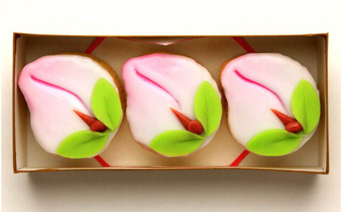 【6回定期便】【長崎縁起菓子】桃カステラ3個入 / 桃カステラ カステラ かすてら 桃の節句 ひな祭り / 諫早市 / 梅月堂 [AHBN017]