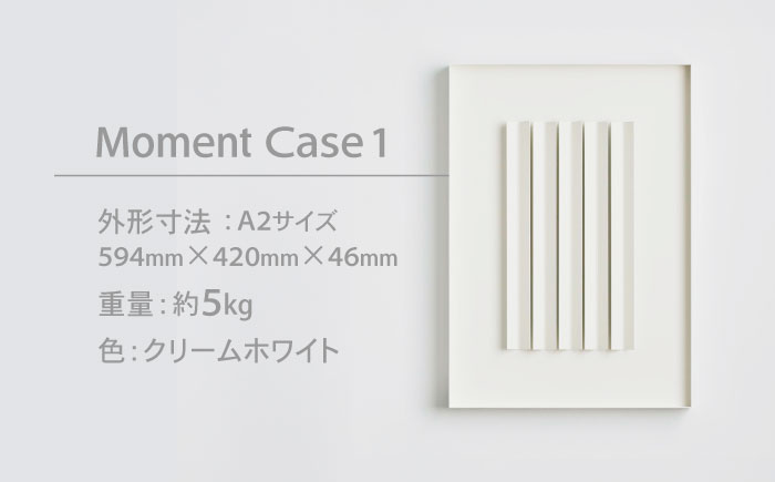 Moment(ﾓﾒﾝﾄ) Case 1 / インテリア オブジェ リサイクル クリエイティブ 幾何学的 モダン 壁掛け デザイン デザイナーズ アート / 株式会社日本ベネックス [AHCC019] Case 1
