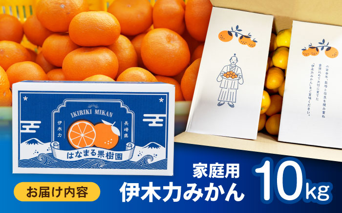※【2026年10月下旬より順次発送／先行予約】伊木力みかん(家庭用) 10kg / みかん ミカン 蜜柑 オレンジ フルーツ 果物 柑橘 / 諫早市 / 山野果樹園 [AHCF001] 家庭用10kg
