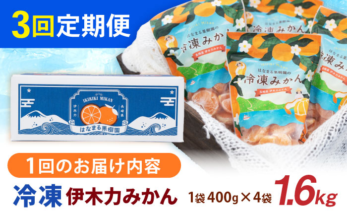 【3回定期便】冷凍 伊木力みかん 1.6kg(400g×4) / みかん ミカン 蜜柑 柑橘 フルーツ ふるーつ 果物 くだもの 冷凍 冷凍みかん / 諫早市 / 山野果樹園 [AHCF011]