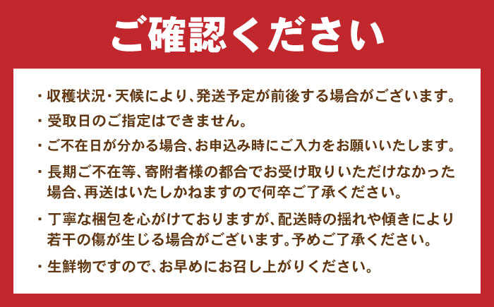 伊木力みかん(ちび柑) 5kg / みかん s みかんsサイズ ミカン 蜜柑 柑橘 フルーツ ふるーつ 果物 くだもの / 諫早市 / 山野果樹園 [AHCF013]