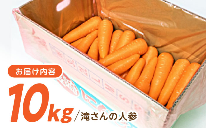【年内配送】(12/23入金分まで)滝さんの人参 10kg / にんじん ニンジン 人参 やさい 野菜 / 諫早市 / 滝商店株式会社 [AHCU001]