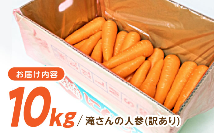 【年内配送】(12/23入金分まで)【訳あり】滝さんの人参10kg / にんじん ニンジン 人参 キャロット きゃろっと やさい 野菜 訳あり 訳アリ わけあり ワケアリ / 諫早市 / 滝商店株式会社 [AHCU005]