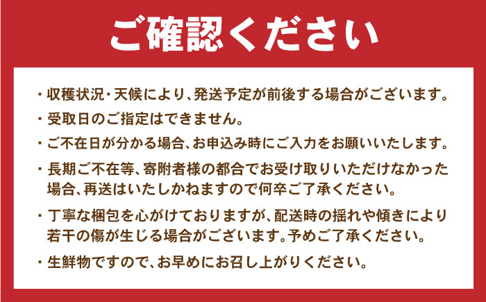【年内配送】(12/23入金分まで)諫早産野菜の詰め合わせ(8～9品目程度) / 季節 旬 野菜 春野菜 夏野菜 秋野菜  / 諫早市 / 肥前グローカル株式会社 [AHDI004]