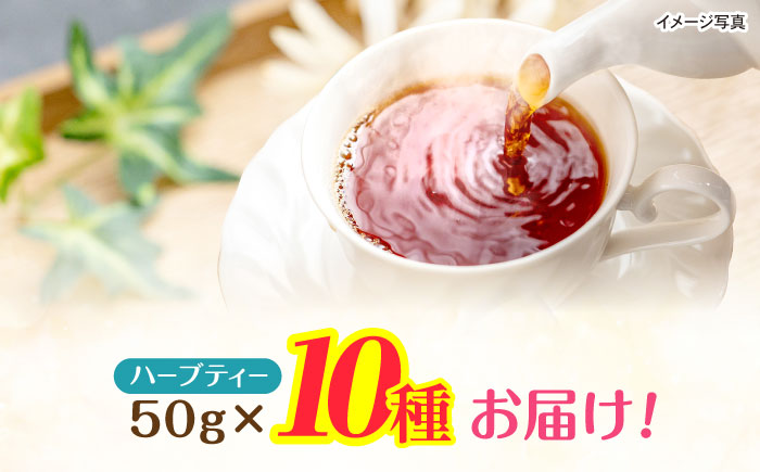 ブレンドハーブティ　50g×10種類　/　ハーブ　ハーブティー　お試し　ペパーミント　カモミール　/　諫早市　/　一般財団法人　小長井振興公社 [AHDK005]