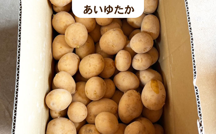 【訳あり】ジャガイモ(品種ミックス)　10kg / 諫早市 / 未来ファーム [AHEY005]
