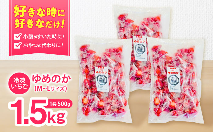 【完熟の恵み、ぎゅっと冷凍！】冷凍いちご「ゆめのか」 M-Lサイズ 1.5kg(500g×3) / いちご イチゴ 苺 冷凍 冷凍いちご 冷凍フルーツ イチゴジャム / 諫早市 / むらたサービス [AHFA001]