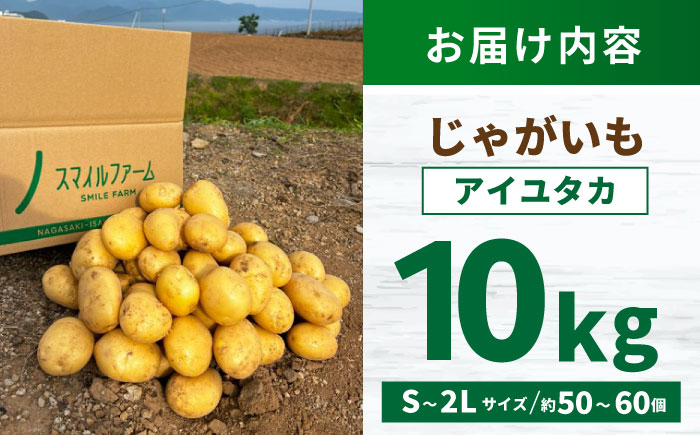 じゃがいも アイユタカ 10kg (S～2Lサイズ/約50～60個) / じゃがいも ジャガイモ ポテト 九州 あいゆたか アイユタカ 野菜 やさい / 諫早市 / スマイルファーム　 [AHFG001]