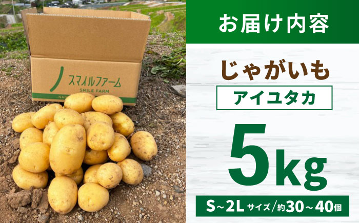 じゃがいも アイユタカ 5kg (S～2Lサイズ/約30～40個) / じゃがいも ジャガイモ ポテト 九州 あいゆたか アイユタカ 野菜 やさい / 諫早市 / スマイルファーム　 [AHFG002]