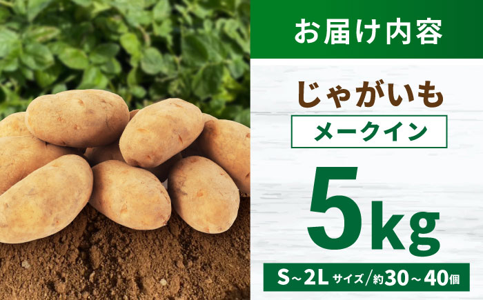 じゃがいも メークイン 5kg (S～2Lサイズ/約30～40個) / じゃがいも ジャガイモ ポテト 九州 メークイン メイクイーン 野菜 やさい / 諫早市 / スマイルファーム　 [AHFG003]