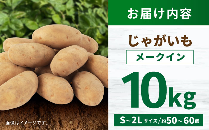 じゃがいも メークイン 10kg (S～2Lサイズ/約50～60個) / じゃがいも ジャガイモ ポテト 九州 メークイン メイクイーン 野菜 やさい / 諫早市 / スマイルファーム　 [AHFG004]