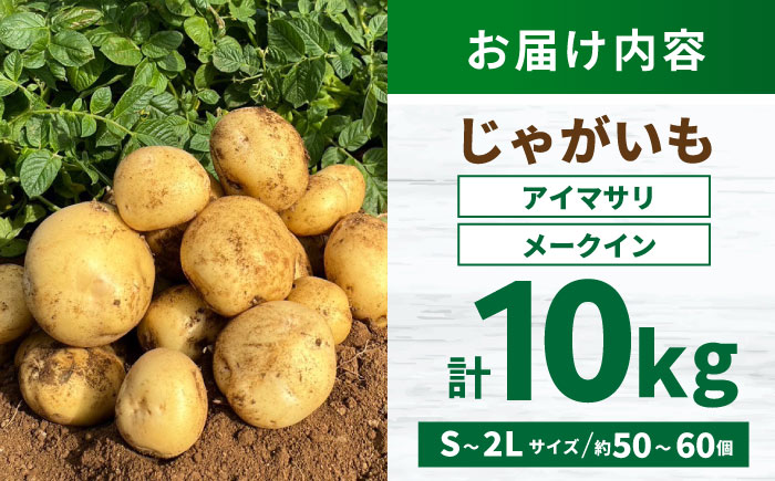 春ジャガ味くらべセット（アイマサリ・メークイン）/ じゃがいも ジャガイモ ポテト 九州 あいまさり アイマサリ メークイン メイクイーン 野菜 やさい / 諫早市 / スマイルファーム [AHFG012]