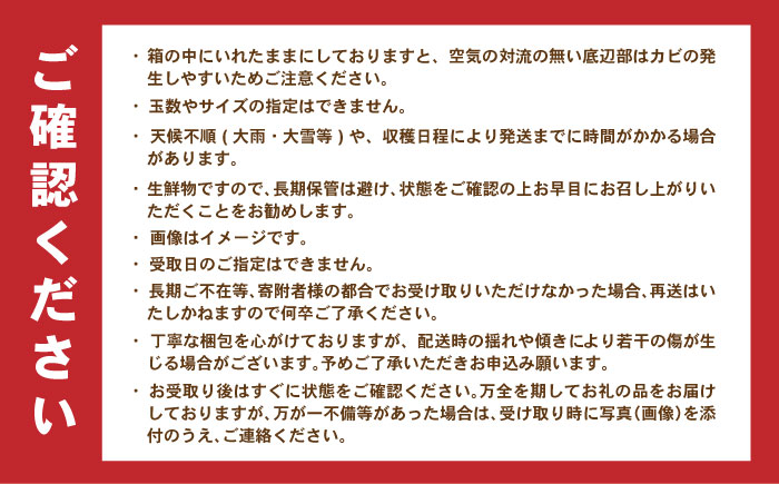 青島みかん　10kg / 諫早市 /伊佐農園 [AHFI014]