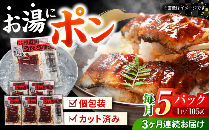 【3回定期便】福田屋食品　うなぎ蒲焼5P(真空パック)  / 特上 うなぎ 鰻 蒲焼 ウナギ / 諫早市 / 諫早観光物産　コンベンション協会 [AHAB003]