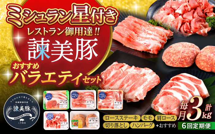 【6回定期便】諫美豚おすすめバラエティセット3kg / 諫美豚 豚肉 肩ロース ステーキ モモ 切り落とし ハンバーグ ロースステーキ / 諫早市 / 株式会社土井農場 [AHAD005]