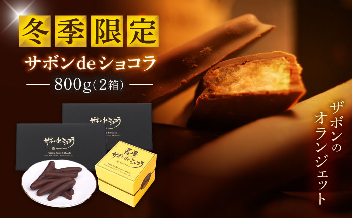 【冬季限定】長崎ザボンdeショコラ 800g（11月～3月）/ ザボン チョコ チョコレート ちょこれーと 菓子 スイーツ クーベルチュールチョコレート オランジェット / 諫早市 / あじさい菓房 [AHAH009]