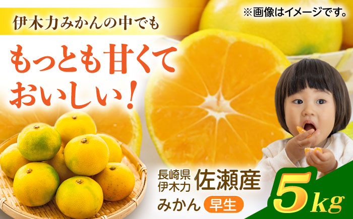 伊木力佐瀬みかん(早生)5kg(混合サイズ：S～L)　/　みかん　佐瀬みかん　伊木力みかん　産地直送　産直　/　諫早市　/　山田果樹園 [AHAJ003]