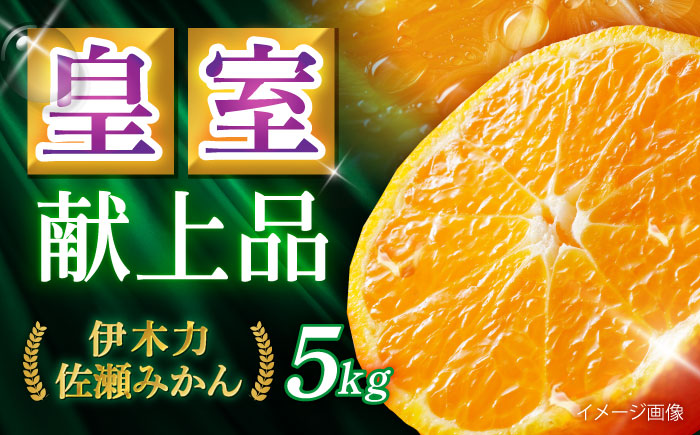 <先行受付> 伊木力佐瀬みかん5kg(混合サイズ：S～L)　/　みかん　佐瀬みかん　伊木力みかん　産地直送　産直　/　諫早市　/　山田果樹園 [AHAJ004]
