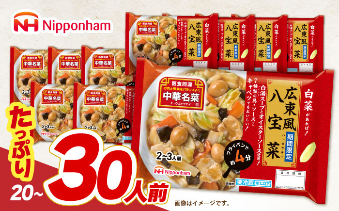 中華名菜 広東風八宝菜 (2～3人前) 10個セット / 中華 八宝菜 惣菜 冷蔵 簡単調理 晩御飯 フライパン調理 ワンパンメニュー / 諫早市 / 日本ハムマーケティング株式会社 [AHAL017]